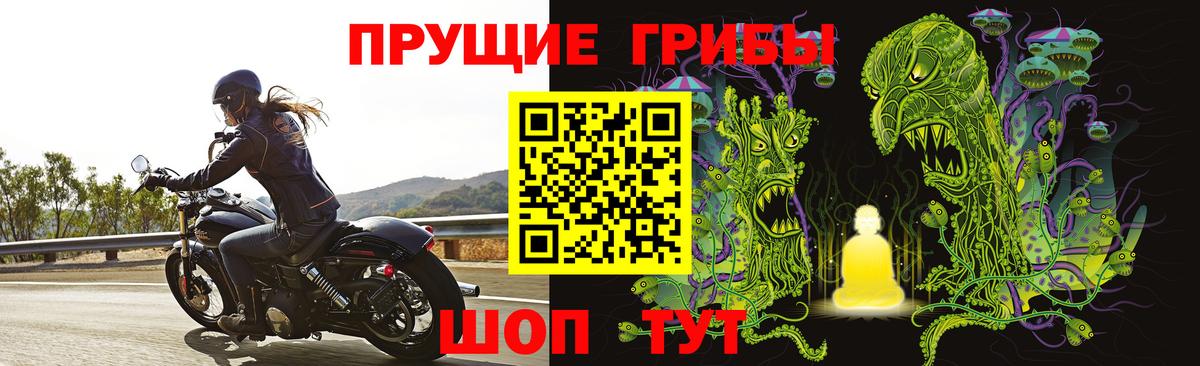 Тихвин  Галлюциногенные грибы Psilocybine cubensis  Вход с VPN 